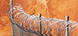 Image associated with MacArthur Grantee’s Legal Efforts Help Free Two Wrongly Imprisoned Men