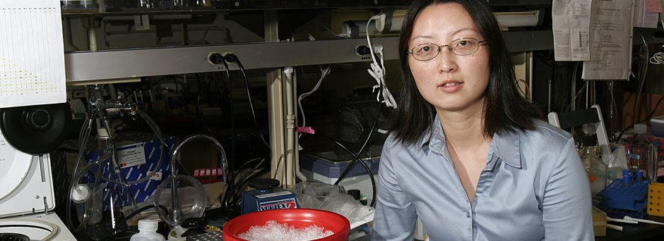 Lu Chen , Neuroscientist