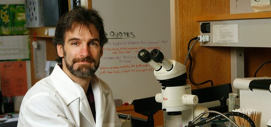 Image of Kenneth Catania