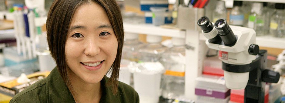 Cheryl Hayashi, Spider Silk Biologist