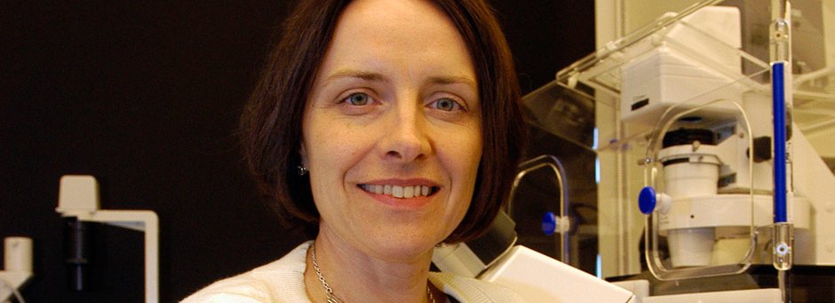 Sally Temple, Neuroscientist