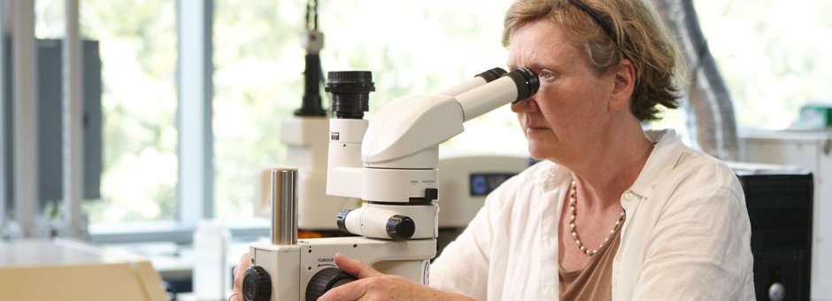 Terry Plank, Geochemist