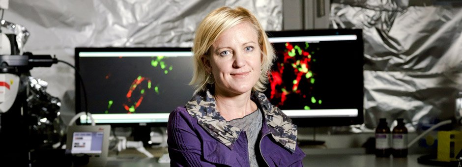 Melody Swartz, Bioengineer