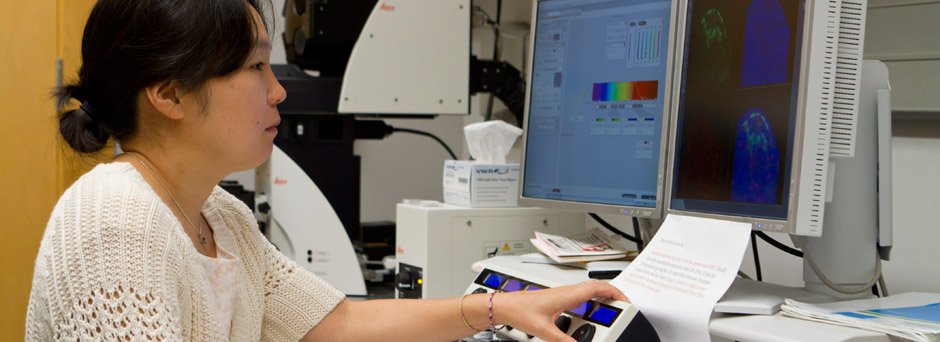 Yukiko Yamashita, Developmental Biologist