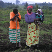 Display photo of Albertine Rift Conservation Society