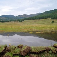Display photo of Royal Society for Protection of Nature