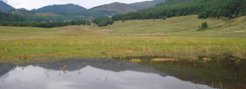 Royal Society for Protection of Nature