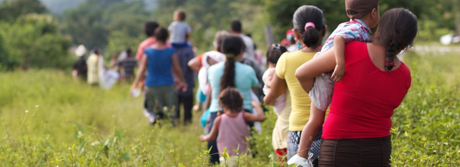 Red Nacional de Derechos Humanos (Red TDT)