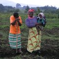 Thumbnail for MacArthur Commits $176 Million to Conservation and Sustainable Development, Shares New Strategy