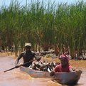 Thumbnail for Adapting to the Effects of Climate Change in Madagascar