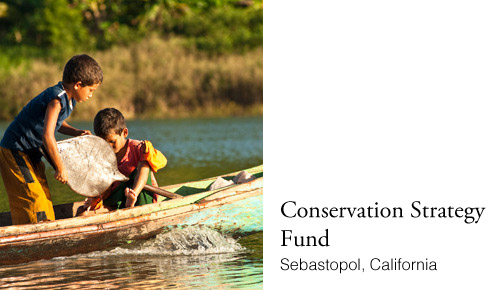 Conservation Strategy Fund