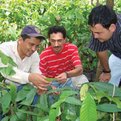 Thumbnail for Evaluation of the Masters' in Development Practice Initiative