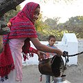Reporting Partnership Explores Challenges to World's Food Supply thumbnail
