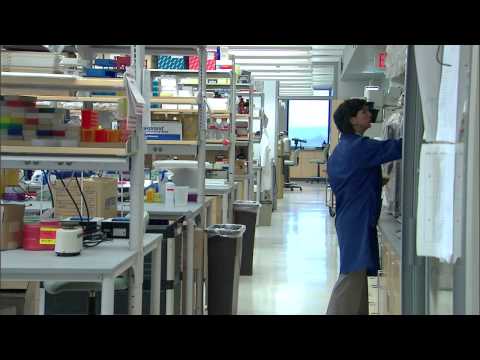 Still image from Elodie Ghedin, 2011 MacArthur Fellow