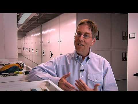 Still image from Richard Prum, 2009 MacArthur Fellow