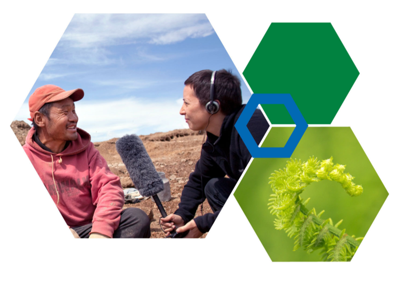 A collage of an individual being interviewed by a journalist, a fern’s frond, and a green and blue hexagon.