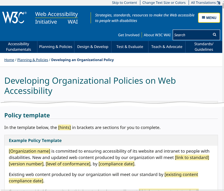 Screengrab of the developing organizational policies on web accessibility page from the W3C website
