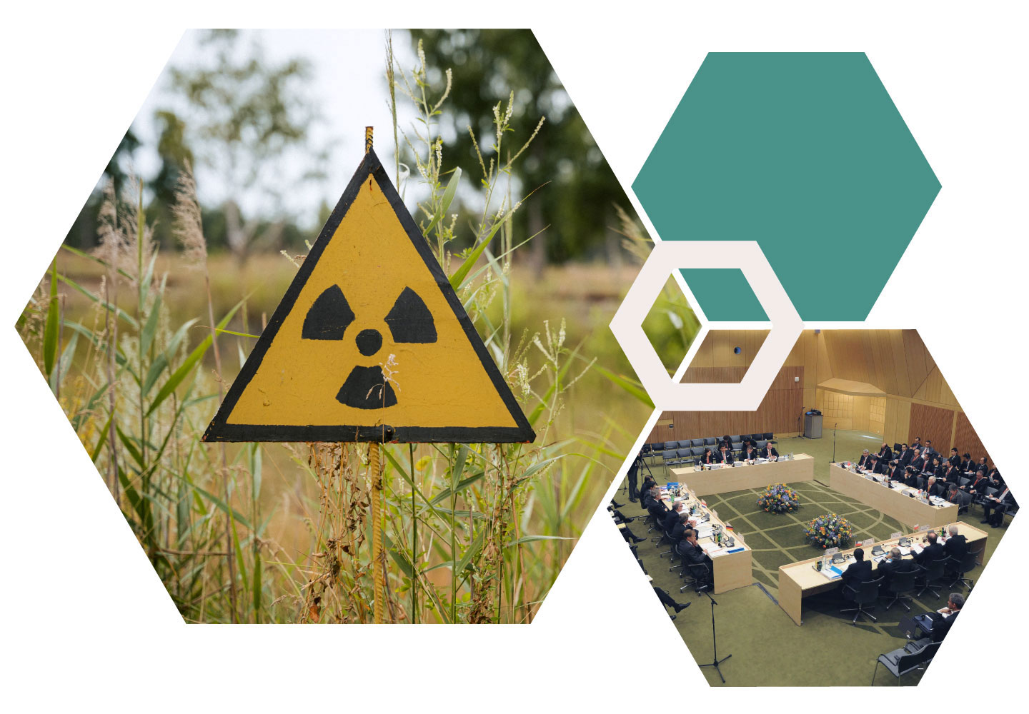 Hexagon collage with images of toxic warning sign in a field and a radiation gauge, and an image of a nuclear summit