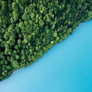 Bird’s eye view of lush woods lining a blue waterway.