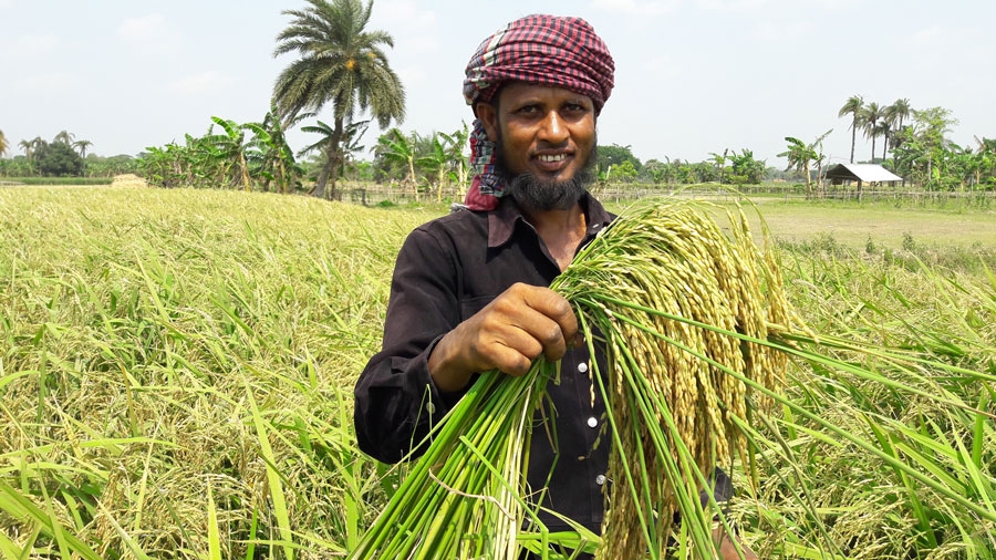 A person holding a bunch of zinc rice.