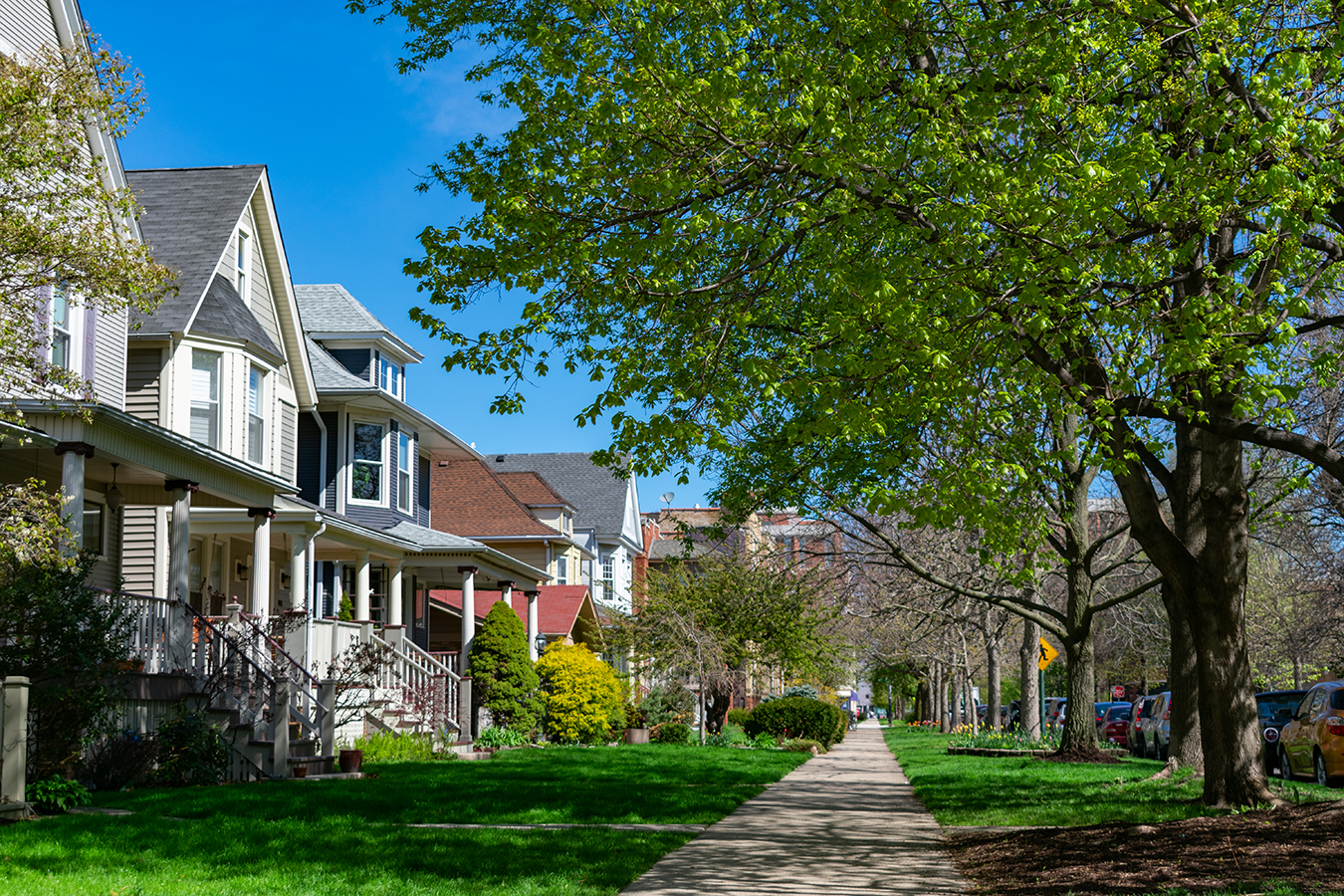 Tree lined street in a Chicago neighborhood