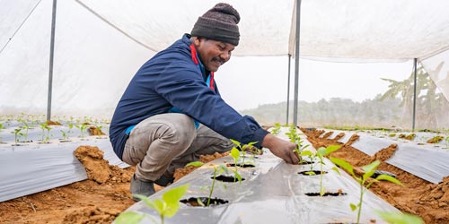 Beyond Benevolence: Investing in India's Equitable Climate Future