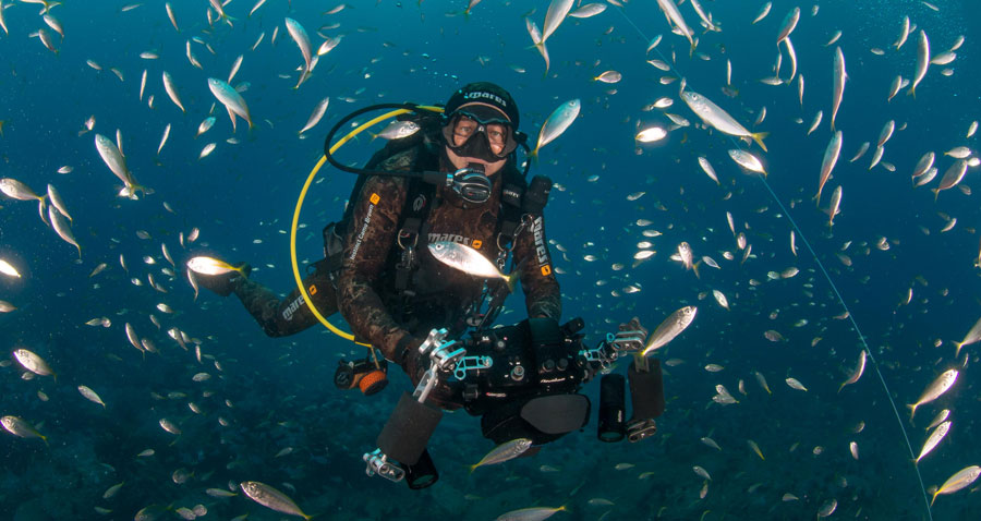 Scuba diver with camera underwater surrounded by fish