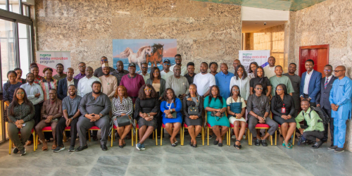 Interventions Enabled Innovation, Growth in Nigeria Media Industry