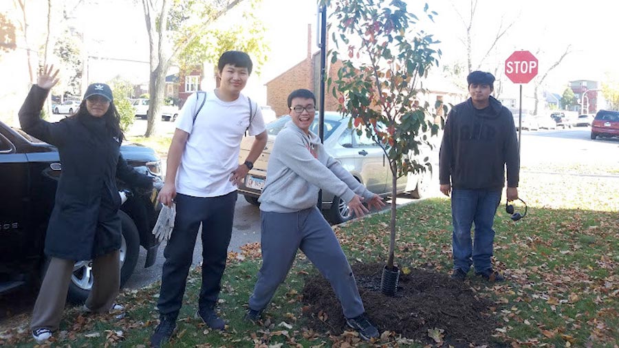 four students standing in the parkway showing a tree they planted.