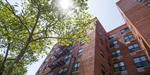 Sun shines through tree branches beside a red brick apartment building with several windows and fire escapes.