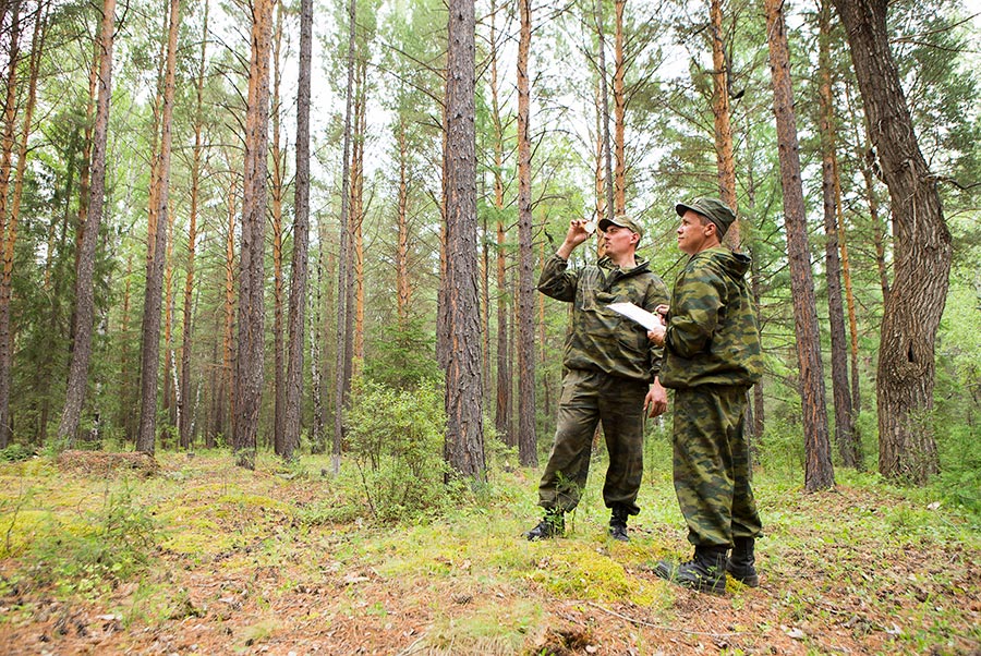two military men surveying a forest