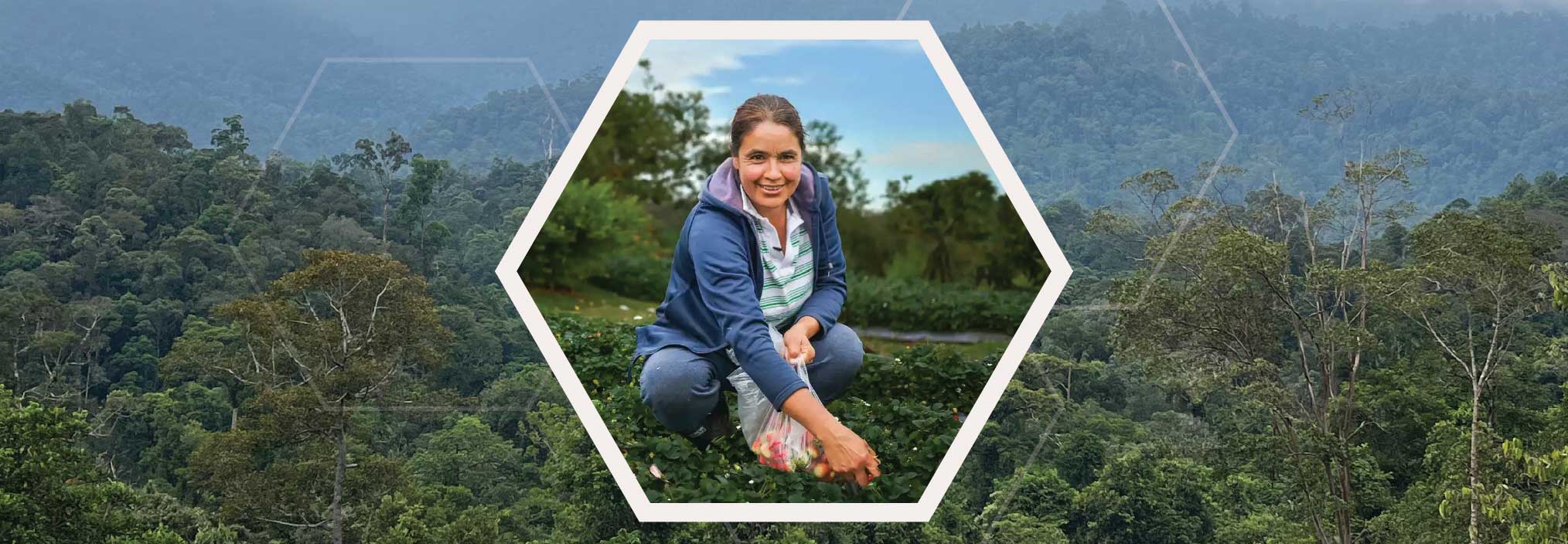 A woman crouching with a bag of produce in a hexagonal frame against a mountain forest backdrop.