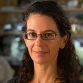 Thumbnail for "Bacteria Have Sculpted the World We Live In, and That’s Why MacArthur Winner Dianne Newman Studies Them"