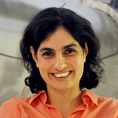 Portrait of Nergis Mavalvala