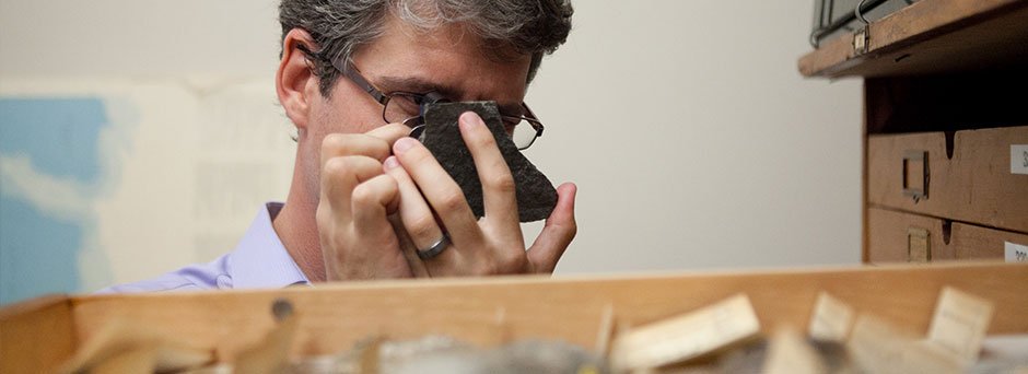 C. Kevin Boyce, Paleobotanist