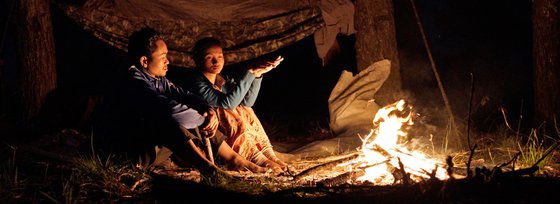 Image of The Fire and the Bird's Nest