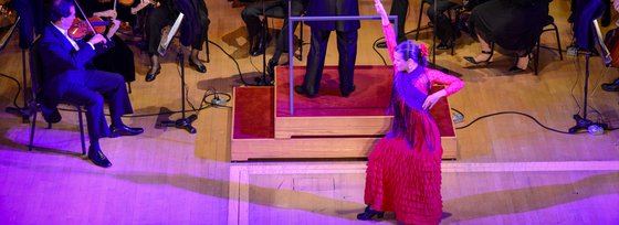Image of Chicago Sinfonietta