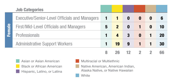EthnicityandJobTypeforFemales