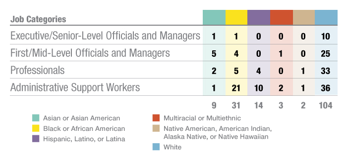 EthnicityandJobCategoryGraph