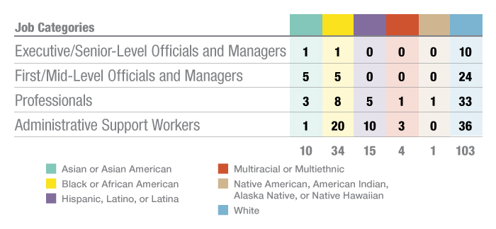 EthnicityandJobCategoryGraph
