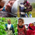 Thumbnail for Four Finalists Named in Global Competition for $100 Million Grant