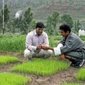 Thumbnail for $5.6 Million to Support New Master’s Programs to Train Sustainable Development Leaders Worldwide