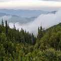 Thumbnail for Story Series Examines Common Conservation Strategies