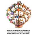 Thumbnail for Iniciativa de la Fundación MacArthur para promover la partería en México