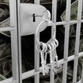 Thumbnail for Assessing the Costs of Jails