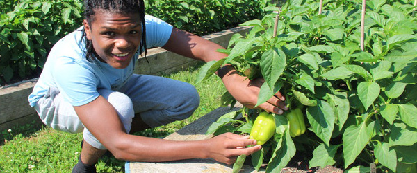 JeromeMcCullough,17,pickingpeppersinagarden