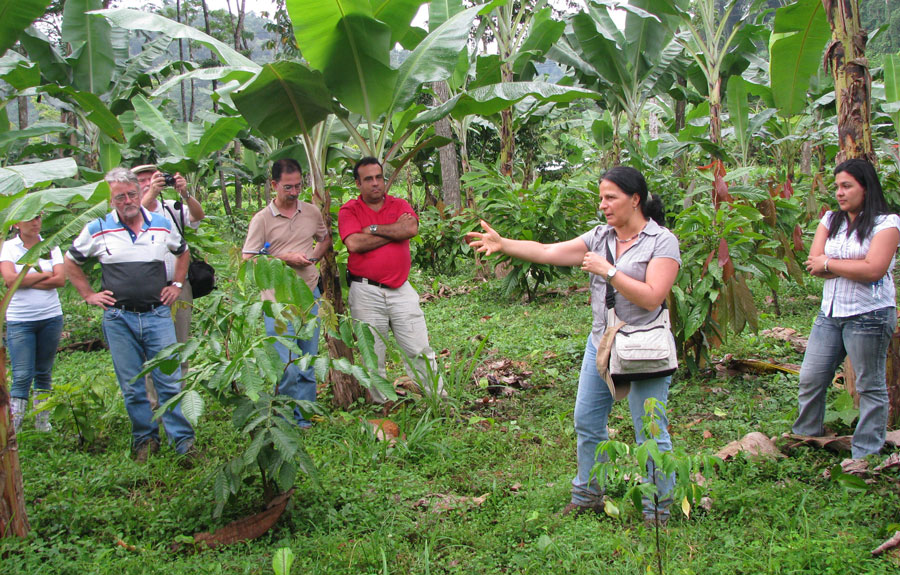 GroupofpeopleinSouthAmericanjungle