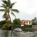 Thumbnail for Higher Seas to Flood Dozens of U.S. Cities