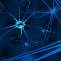 Applying Neuroscientific Lie Detection in Court thumbnail