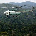 Thumbnail for Peru Establishes New National Park, Protecting Large Area of Rainforest